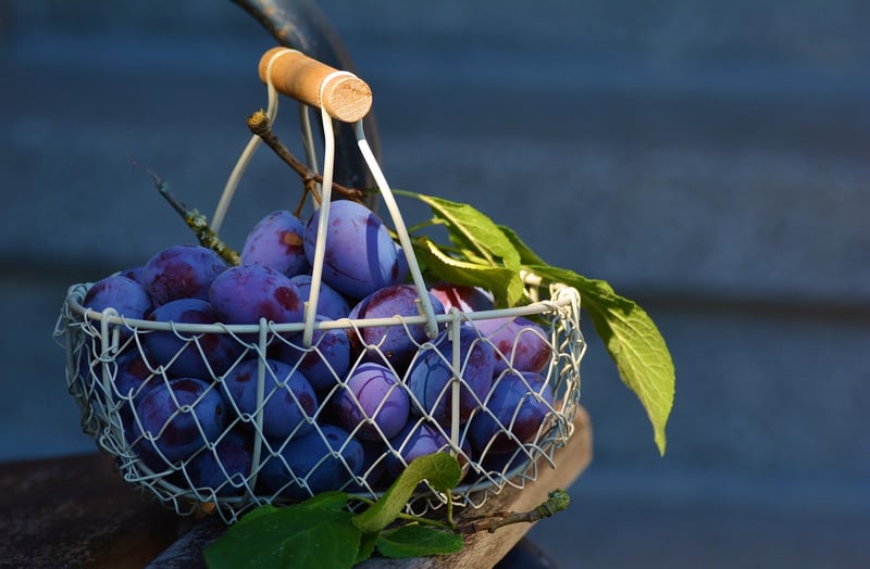 Newspaper Basket